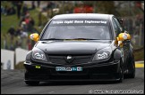 BTCC_and_Support_Brands_Hatch_010510_AE_094