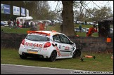 BTCC_and_Support_Brands_Hatch_010510_AE_111