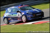 BTCC_and_Support_Brands_Hatch_011011_AE_038