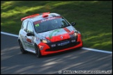 BTCC_and_Support_Brands_Hatch_011011_AE_042