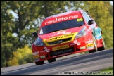 BTCC_and_Support_Brands_Hatch_011011_AE_073