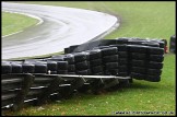 Truck_Superprix_and_Support_Brands_Hatch_011109_AE_047