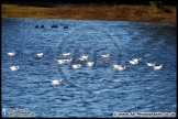 Lepe_Beach_02-02-13_AE_011