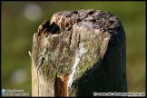 Lepe_Beach_02-02-13_AE_013