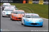 BTCC_Brands_Hatch_02-04-16_AE_213