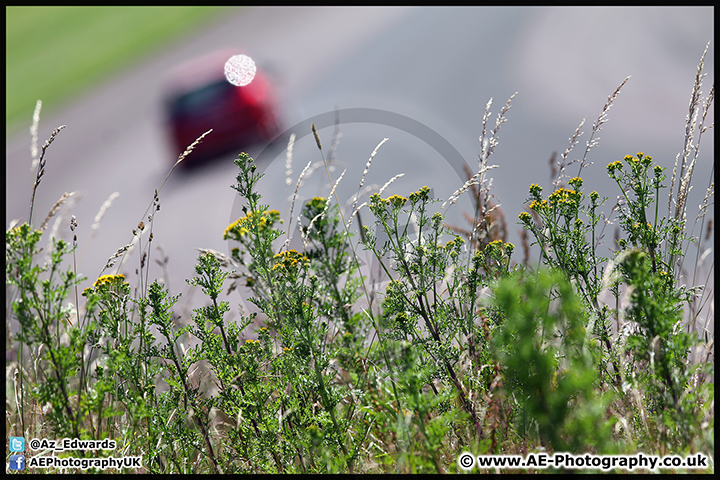 BARC_Thruxton_02-07-16_AE_036.jpg