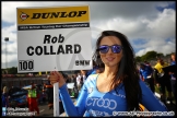 BTCC_Brands_Hatch_02-10-16_AE_042