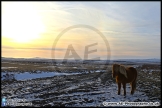 Iceland_02-16_AE_026