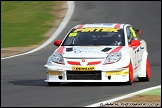 BTCC_and_Support_Brands_Hatch_020411_AE_020