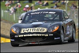 BTCC_and_Support_Brands_Hatch_020411_AE_081