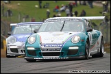 BTCC_and_Support_Brands_Hatch_020411_AE_124