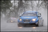 BTCC_and_Support_Brands_Hatch_020510_AE_027