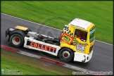 Trucks_Brands_Hatch_021114_AE_061