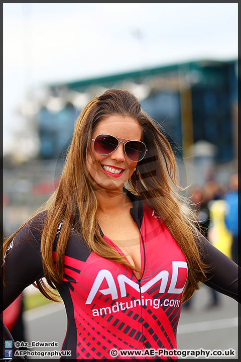 BTCC_Brands_Hatch_05-04-15_AE_039.jpg