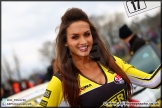 BTCC_Brands_Hatch_05-04-15_AE_037