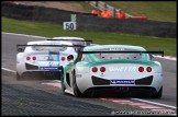 BTCC_and_Support_Brands_Hatch_050409_AE_086