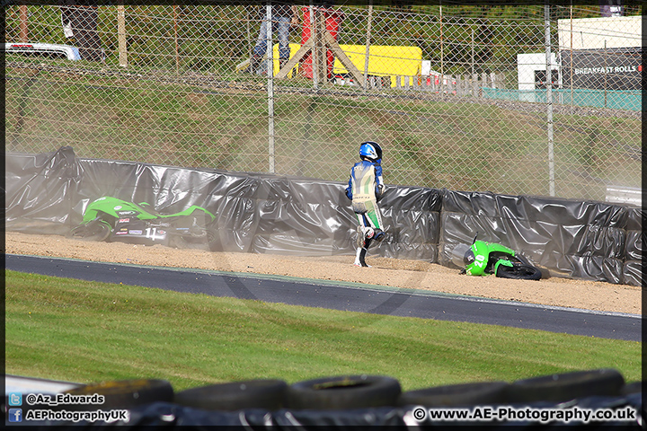 BMCRC_Brands_Hatch_051014_AE_231.jpg