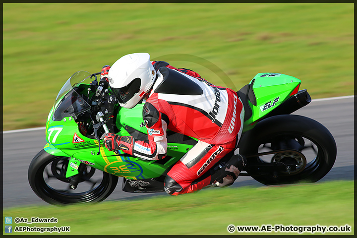 BMCRC_Brands_Hatch_051014_AE_232.jpg