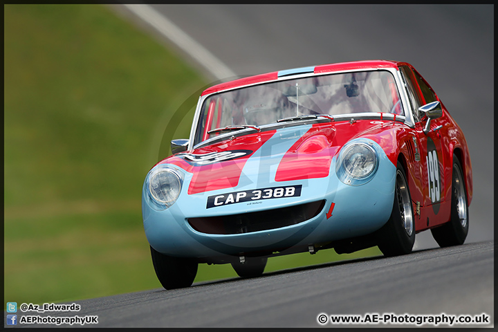 Speedfest_Brands_Hatch_06-06-15_AE_096.jpg