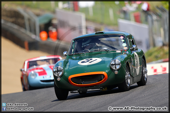 Speedfest_Brands_Hatch_06-06-15_AE_103.jpg