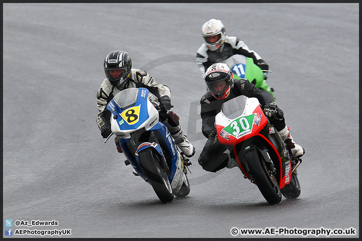 BMCRC_Brands_Hatch_060414_AE_014.jpg