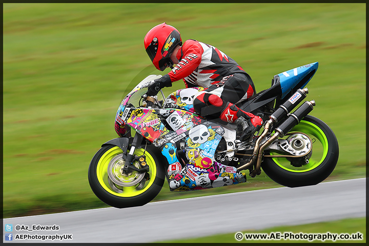 BMCRC_Brands_Hatch_060414_AE_018.jpg