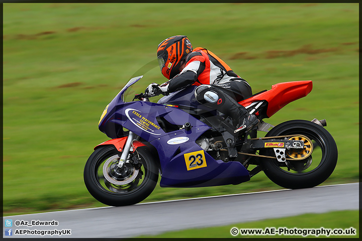 BMCRC_Brands_Hatch_060414_AE_019.jpg