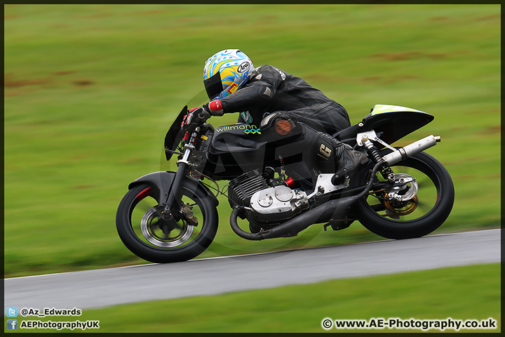 BMCRC_Brands_Hatch_060414_AE_021.jpg