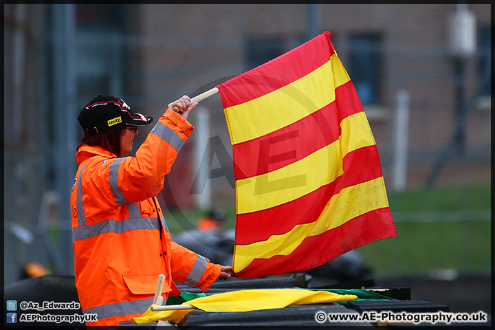 BMCRC_Brands_Hatch_060414_AE_026.jpg