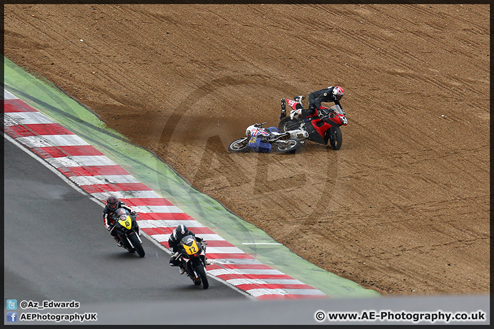 BMCRC_Brands_Hatch_060414_AE_071.jpg