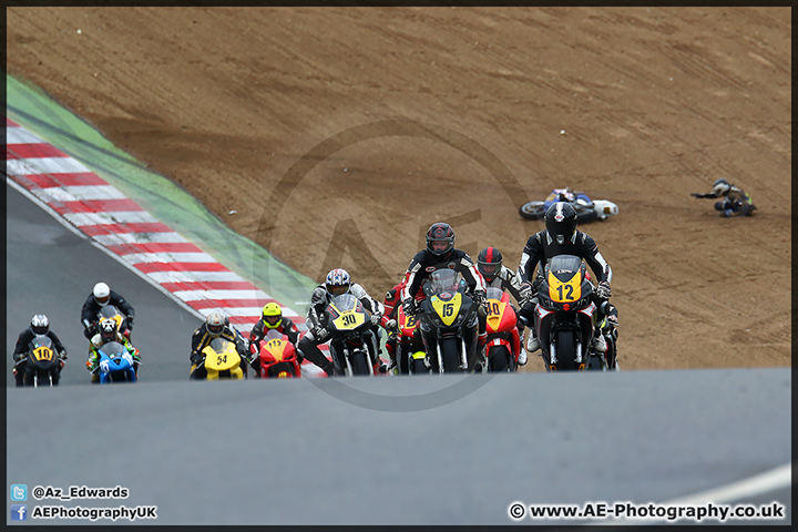 BMCRC_Brands_Hatch_060414_AE_074.jpg