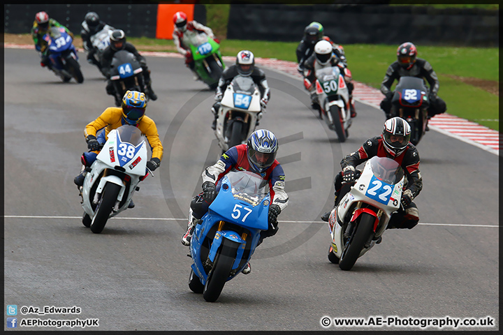 BMCRC_Brands_Hatch_060414_AE_140.jpg