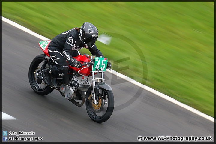 BMCRC_Brands_Hatch_060414_AE_175.jpg