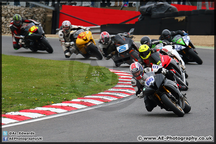 BMCRC_Brands_Hatch_060414_AE_204.jpg
