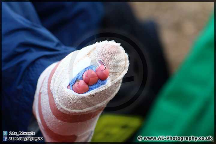 BMCRC_Brands_Hatch_060414_AE_229.jpg