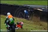 BMCRC_Brands_Hatch_060414_AE_101