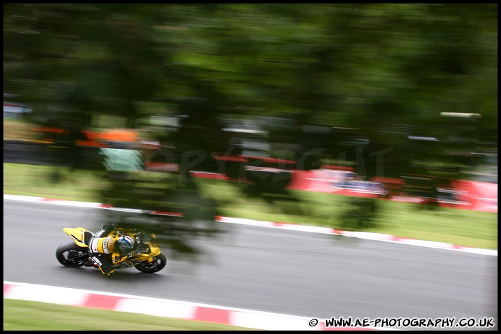 BSBK_and_Support_Brands_Hatch_060811_AE_010.jpg