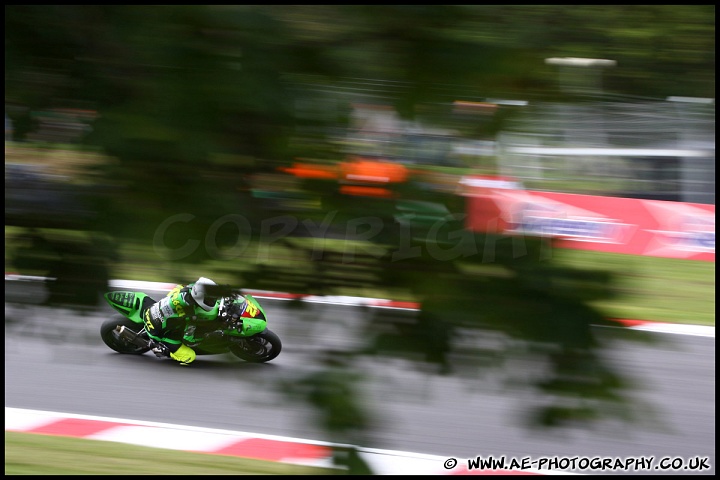 BSBK_and_Support_Brands_Hatch_060811_AE_011.jpg