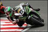 BSBK_and_Support_Brands_Hatch_060811_AE_087