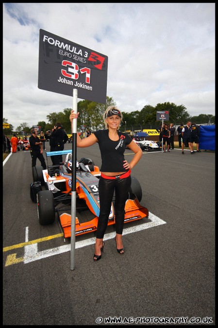 DTM_and_Support_Brands_Hatch_060909_AE_017.jpg