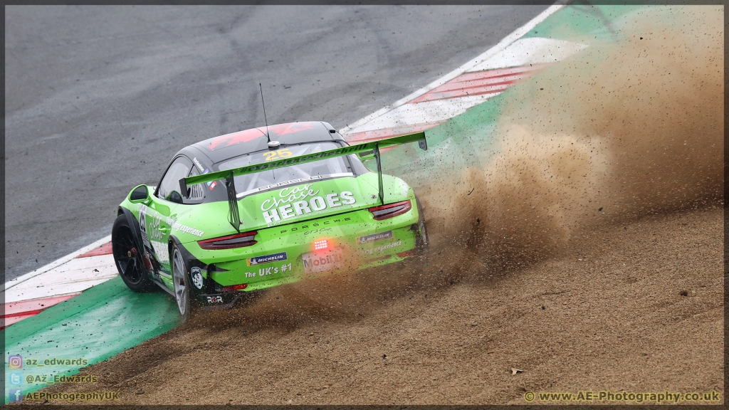 BTCC_Brands_Hatch_07-04-2019_AE_040.jpg