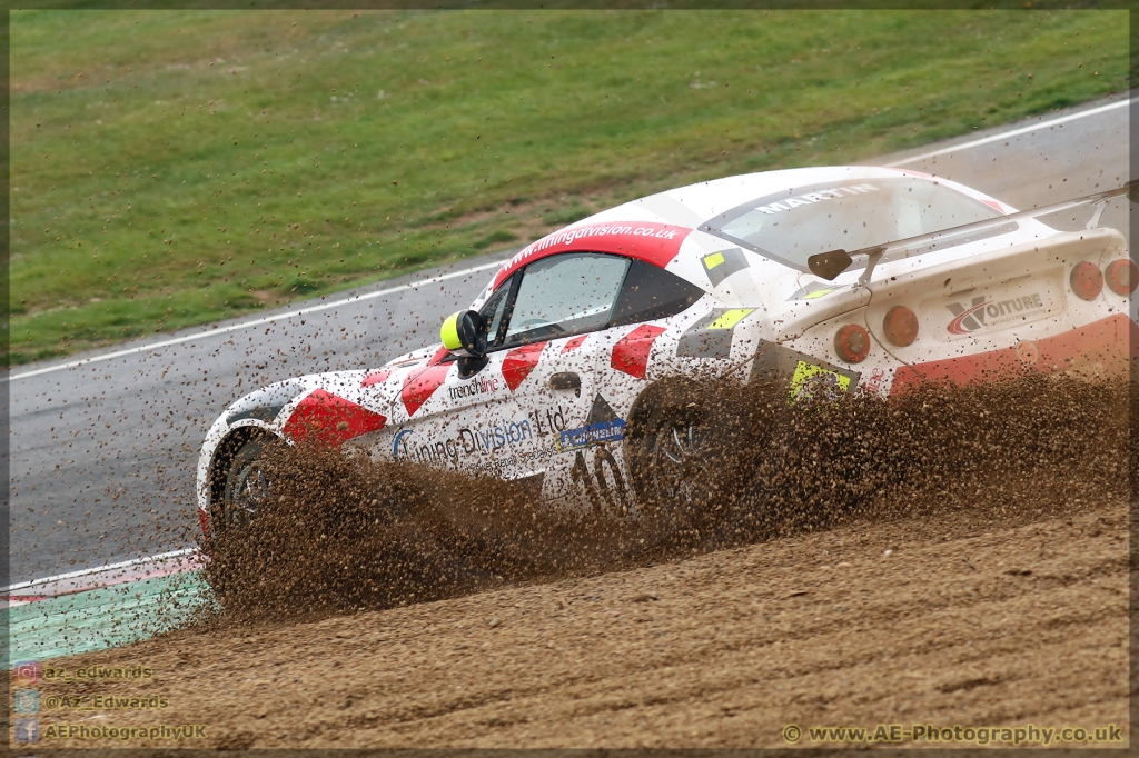 BTCC_Brands_Hatch_07-04-2019_AE_058.jpg