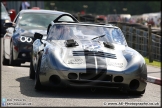 Speedfest_Brands_Hatch_07-06-15_AE_014