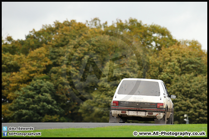 NH_Stage_Rally_Oulton_Park_07-11-15_AE_224.jpg