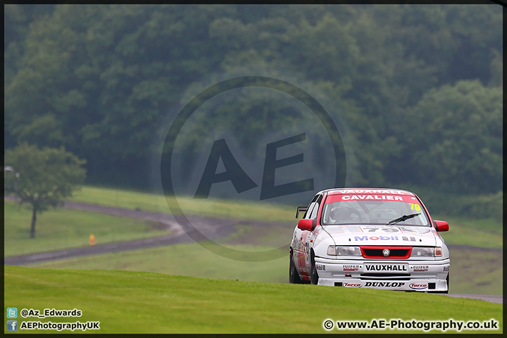 BTCC_Oulton_Park_070614_AE_029.jpg