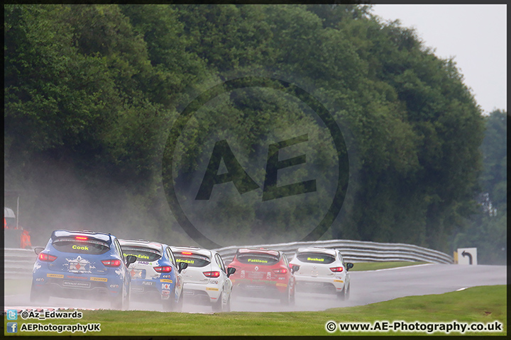 BTCC_Oulton_Park_070614_AE_039.jpg