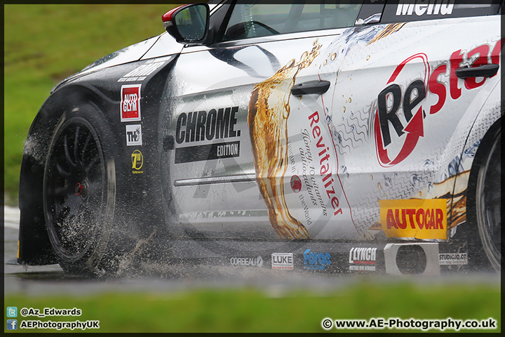 BTCC_Oulton_Park_070614_AE_066.jpg