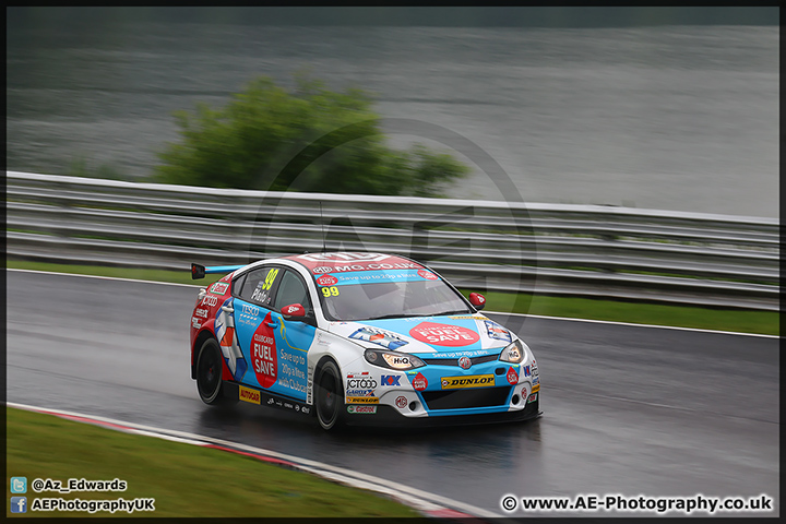 BTCC_Oulton_Park_070614_AE_071.jpg