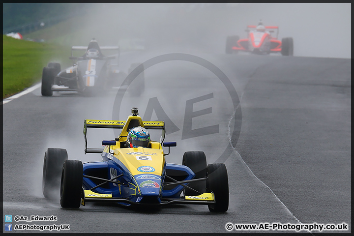 BTCC_Oulton_Park_070614_AE_084.jpg