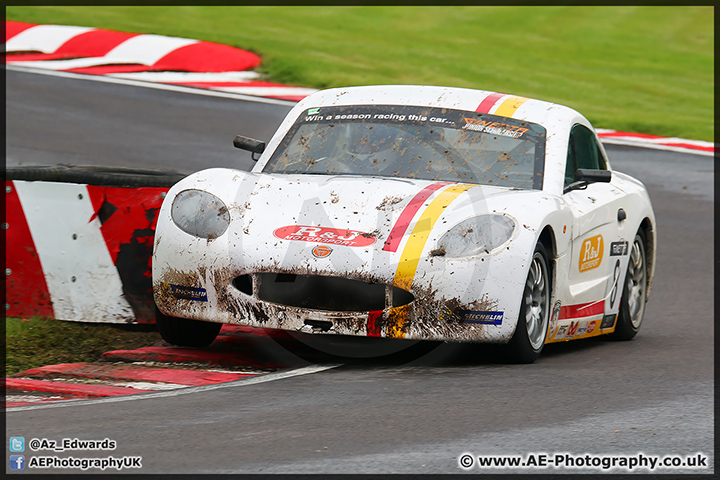 BTCC_Oulton_Park_070614_AE_097.jpg